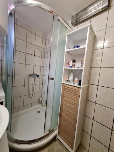 ein Badezimmer mit Dusche und Waschbecken in der Unterkunft Mountain House Mijatović in Kopaonik