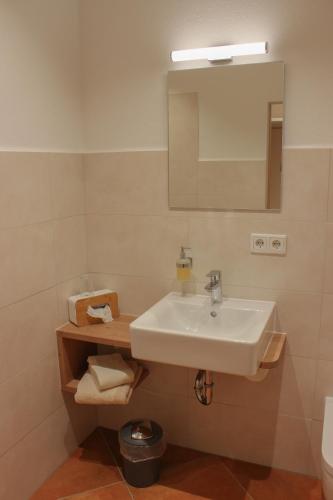 a bathroom with a sink and a mirror at Wirtsberg Pension & Cafe in Günzenhausen