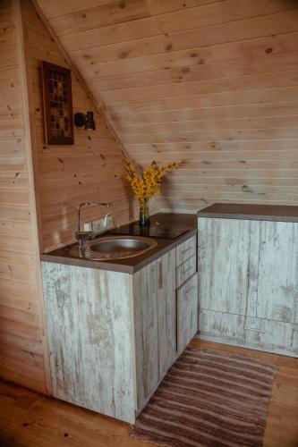 a bathroom with a sink in a wooden cabin at Rāznas Stāvkrasti in Kaunata