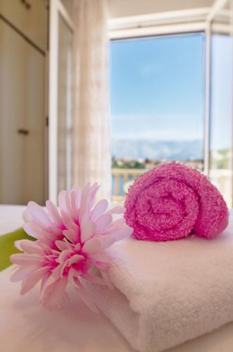 two pink flowers sitting on top of a towel at Beachfront house Pope B&B in Selca