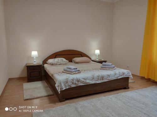 a bedroom with a bed with two pillows on it at Apartments "Domovik" Івана Парканія 2а кв 19 in Mukacheve