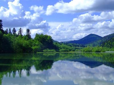 a large body of water with trees and clouds at Apartments Adriatic 3 in Selce