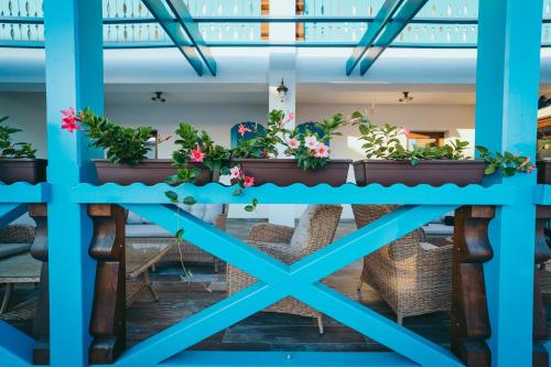 a table with potted plants on it at Pensiunea Briza Marii Jurilovca in Jurilovca