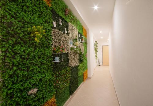 a wall of green ivy in a hallway at South Valley in Agrigento