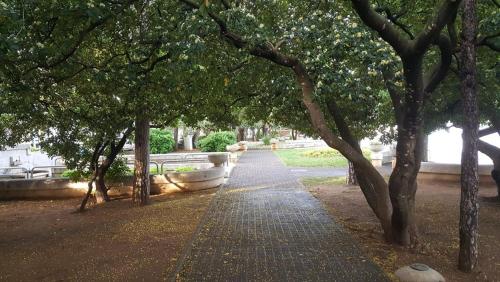 a tree lined walk way in a park with trees at Apartments Adriatic 3 in Selce