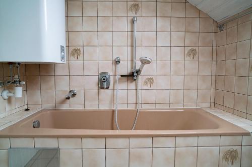 a bath tub with a shower in a tiled bathroom at Linz LIVIA in Linz