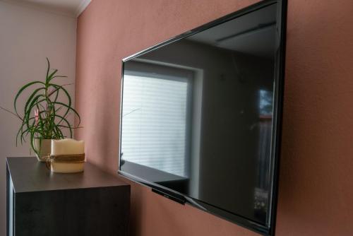 Televisyen dan/atau pusat hiburan di Bio Weinhaus Krauss Zellertal