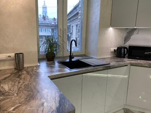 a kitchen counter with a sink and a window at Panorama Luxury Apartment in The House with a Spire, a historical building in the city centre in Kharkiv
