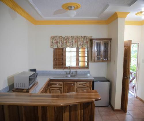 a kitchen with a sink and a counter top at Bay View Eco Resort & Spa in Port Antonio