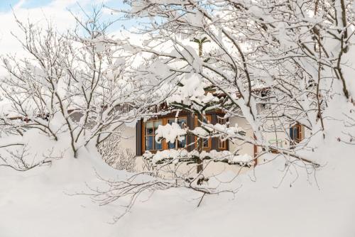 a house covered in snow in front of trees at Haus Sonnengarten-Lienz in Lienz