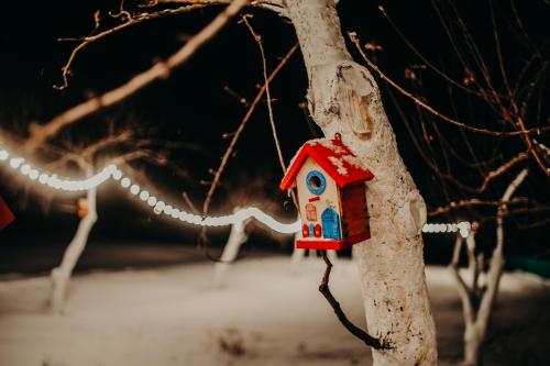 a bird house hanging from a tree branch at Mtserlebi Resort in K'vishkhet'i