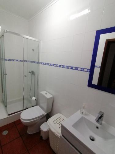 a bathroom with a toilet and a shower and a sink at Casa Pôr do Sol in Mosteiros
