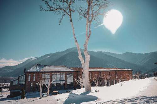 a tree in front of a building in the snow at Mtserlebi Resort in K'vishkhet'i