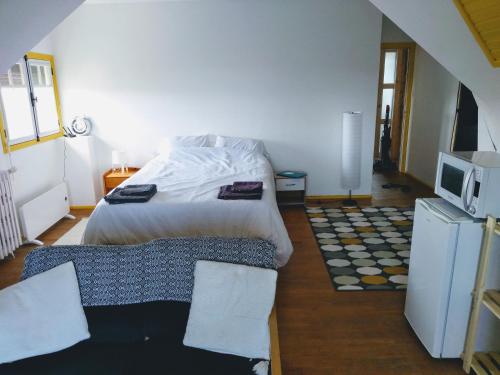 Schlafzimmer mit einem Bett, einem TV und einem Teppich in der Unterkunft Roz Melen in Châteauneuf-du-Faou