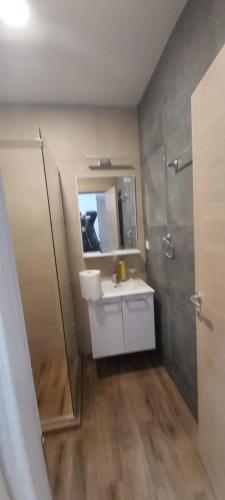a bathroom with a sink and a mirror and a shower at VIOLET QUEEN in Kopaonik