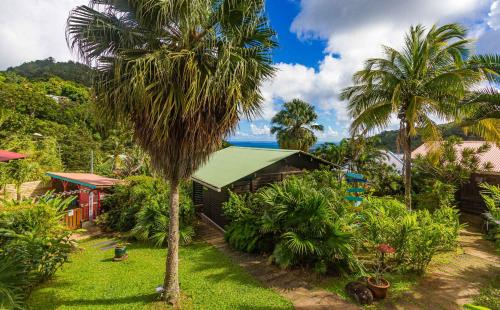 a palm tree in front of a house at Piton Bungalows Ecolodges in Deshaies