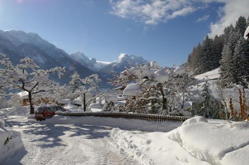 a snow covered mountain with a fence and trees at KASSNHOF - Urlaub in den Bergen in Telfes im Stubai