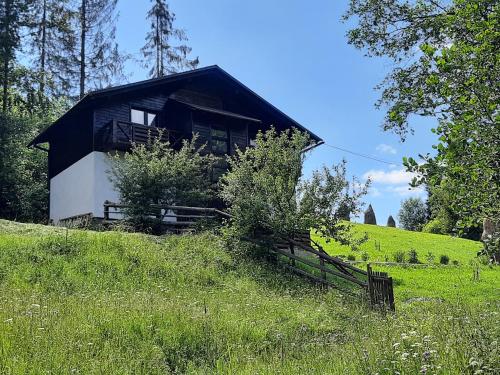 a black and white house on a grassy hill at Під Боржавою in Pilipets