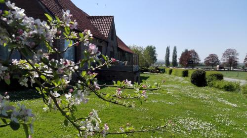 Jardín al aire libre en Apartment 't Hennekot Palingbeek