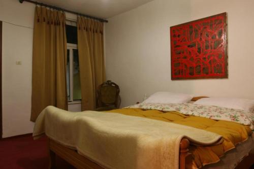 1 dormitorio con 1 cama y una pintura en la pared en Guesthouse Pension Andrea, en Tirana