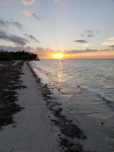 a beach with the sun setting over the water at Casa Hridaya Hotel Boutique in Holbox Island