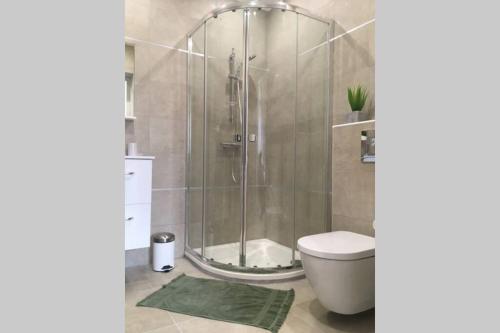 La salle de bains est pourvue d'une douche et de toilettes. dans l'établissement Appartement neuf entre mer et montagne., à Furiani