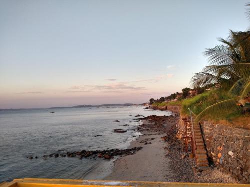 a beach with a palm tree and the ocean at Kitnet novo, completo com AR, 10km da Igreja do Bonfim e 13km do Pelourinho, Centro. in Salvador