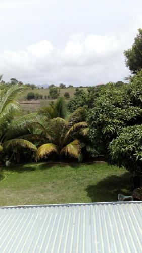 una vista desde el techo de una casa con palmeras en résidences aux saveurs des mangues, en Baillif
