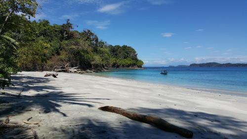 a beach with a tree branch laying on the sand at Boca Chica Bay Eco Lodge in Boca Chica