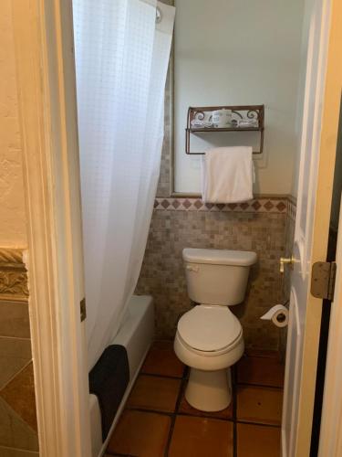 a bathroom with a toilet and a shower curtain at Chantico Inn in Ojai