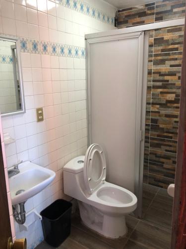 a bathroom with a toilet and a sink and a shower at Hotel del Conde in Guanajuato