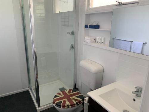 a bathroom with a shower and a toilet and a sink at Kings Avenue Motel in Saint Arnaud