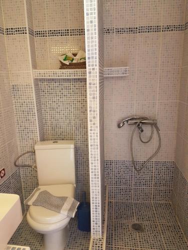 a bathroom with a toilet and a shower at Marina in Nikiti