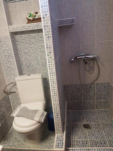 a small bathroom with a toilet and a shower at Marina in Nikiti