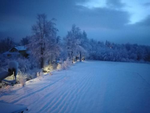 una carretera cubierta de nieve con árboles y un campo en Sobe Sky, en Fužine