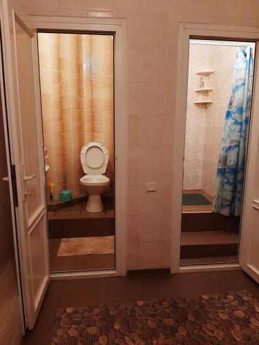 a bathroom with a toilet and a shower stall at Семейный отдых у моря в Черноморке in Odesa