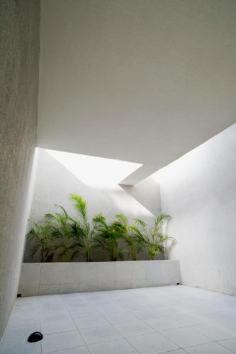 a room with potted plants in a building at FFF Hotel in Hengchun