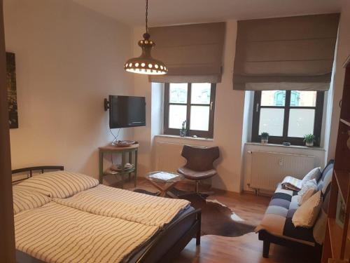 1 dormitorio con 1 cama, TV y ventanas en Kleiner-Muldenblick, en Leisnig