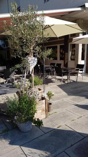 a tree in a wooden crate next to some chairs at Hotel Sporting in Marbach