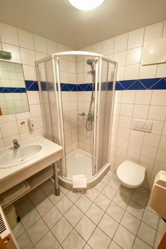 a bathroom with a shower and a sink and a toilet at Landhotel Gasthof Bauböck in Andorf