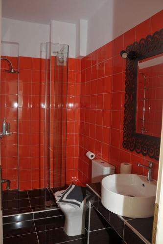 a red tiled bathroom with a toilet and a sink at Dominique Rooms Meteora in Kalabaka