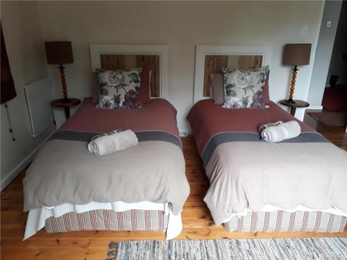 a bedroom with two twin beds with pillows on them at Geduld in Prince Albert