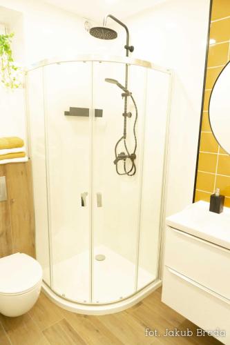 a glass shower in a bathroom with a toilet at Apartamenty Toszeckie in Toszek