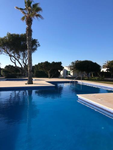 uma piscina azul com uma palmeira ao fundo em SOLMAR MENORCACOM 19 em Cala'n Bosch