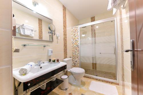 uma casa de banho com um lavatório, um WC e um chuveiro em Hotel Iris em Zlatibor
