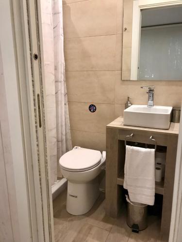 a bathroom with a toilet and a sink at Agroturismo Anziola in Oiartzun
