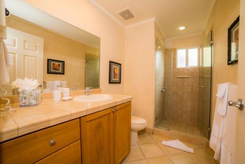 La salle de bains est pourvue d'un lavabo, de toilettes et d'une douche. dans l'établissement Los Suenos Resort Del Mar 3N by Stay in CR, à Herradura