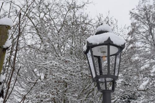 a street light covered in snow with trees in the background at Hotel Seeschlösschen in Groß Köris