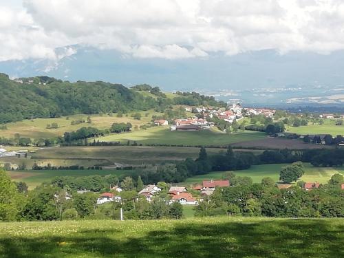 Blick auf eine Stadt auf einem grünen Feld in der Unterkunft Chambre dans Maison Campagnarde in Présilly