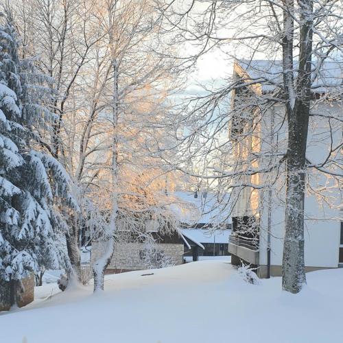 a snow covered yard with trees and a building at 10 minutes walk to the lakes in Plitvička Jezera